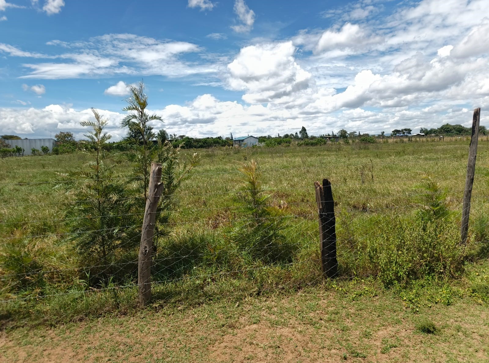 Industrial Park land thumbnail 3